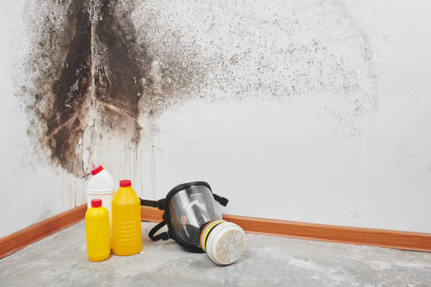 Best Mold Testing  in Tieton, WA