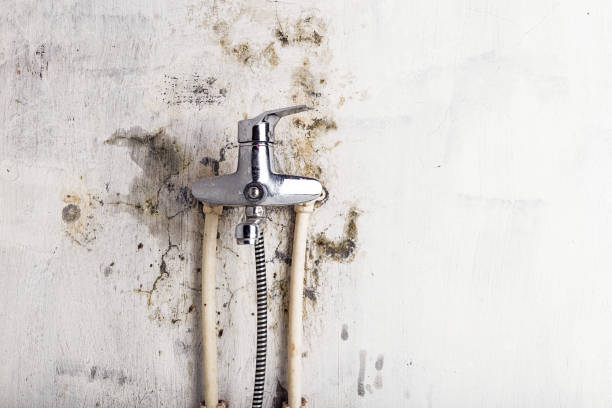 Best Mold Testing  in Tieton, WA