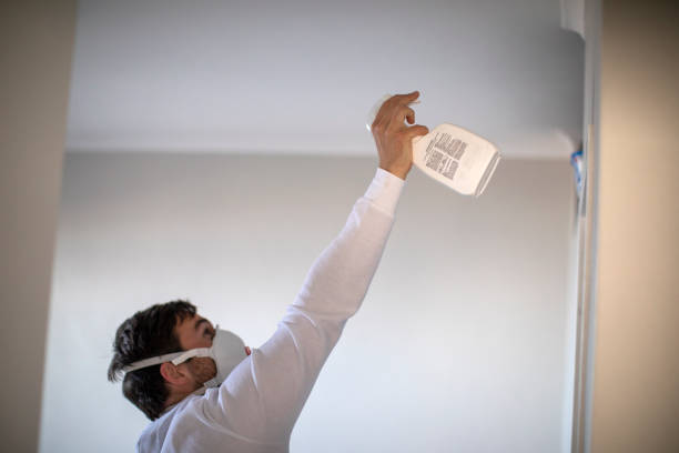 Best Certified Mold Removal  in Tieton, WA