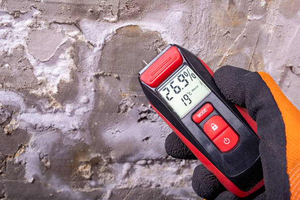 Best Professional Mold Removal  in Tieton, WA