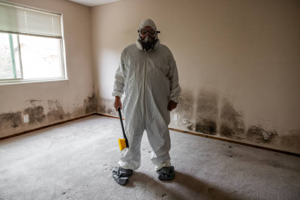 Best Mold Testing  in Tieton, WA