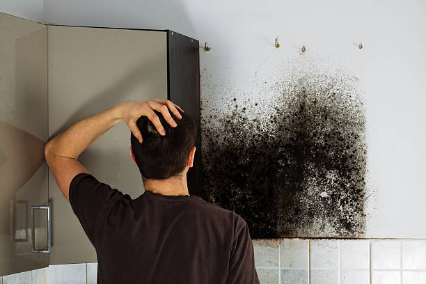 Best Mold Removal Company Near Me  in Tieton, WA